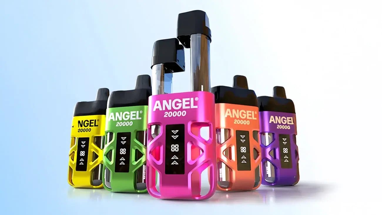 Angel Bundle
