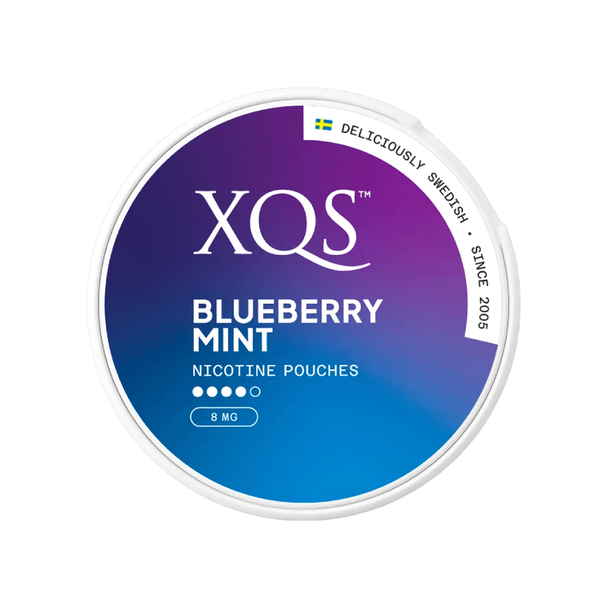 XQS Blueberry Mint Nicotine Pouches - Nicotine Pouches
