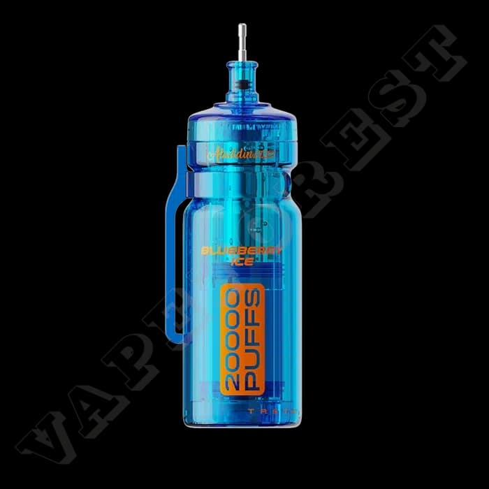 Enjoy Pro Max 20000 by Aladdin Pro Blueberry Ice