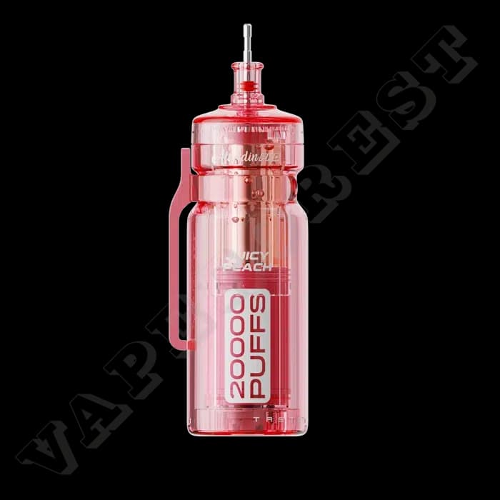 Enjoy Pro Max 20000 by Aladdin Pro Juicy Peach