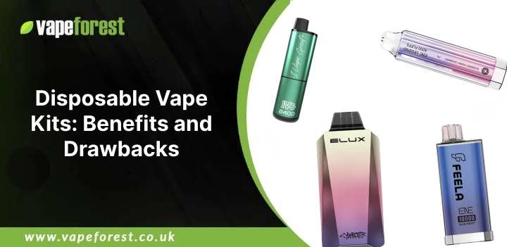 Disposable Vape Kits: Benefits and Drawbacks