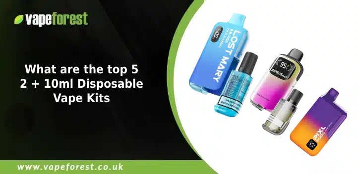 What are the Top 5 10ml + 2ml Disposable Vapes