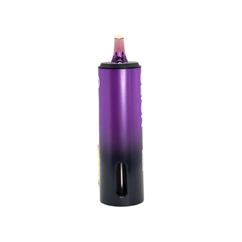 Pyne Pod Click 10000 Replacement Pod and Bottle - 360 view 9
