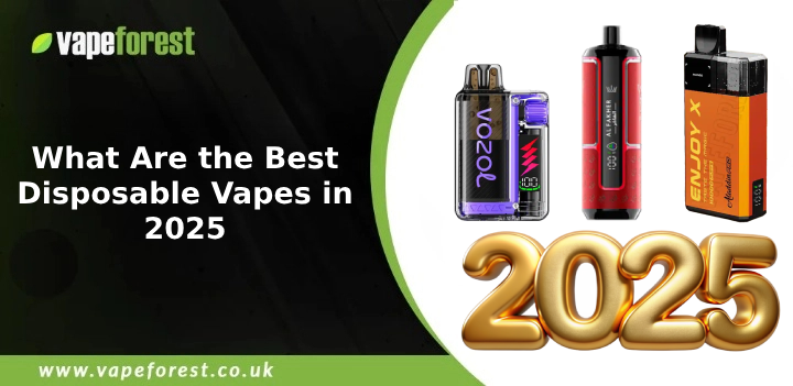 What Are the Best Disposable Vapes in 2025 (2)