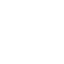 Search Icon
