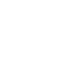Search Icon