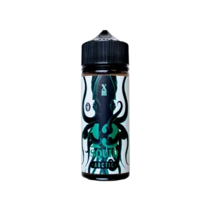 Arctic Menthol Spearmint Shortfill E-Liquid by 13 Squid 100ml